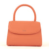 Riona Luna Mini Handbag